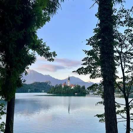 Apartman Apartma Lilly Bohinjska Bela