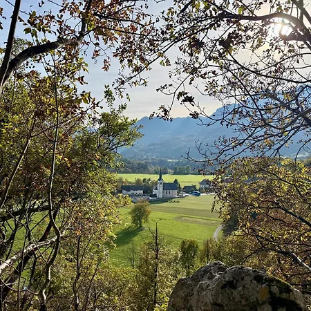 Apartma Lilly Апартаменты *